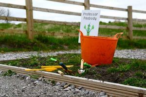 Vegetable Patch